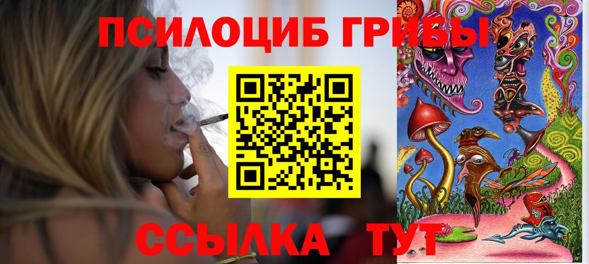 Камышин  Галлюциногенные грибы прущие грибы  Псилоцибиновые грибы прущие грибы  Вход с VPN 