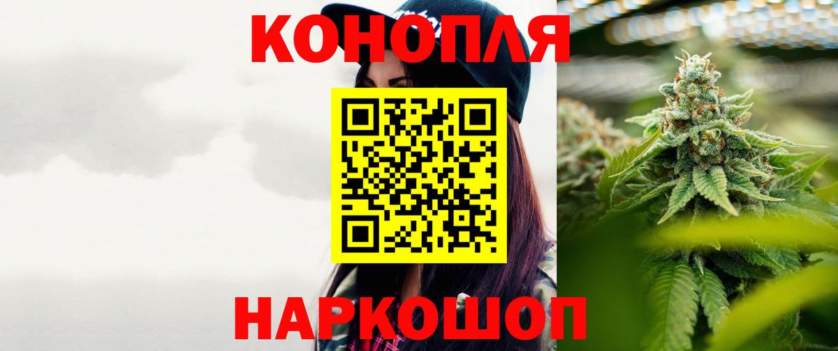 Бошки Шишки планчик Камышин